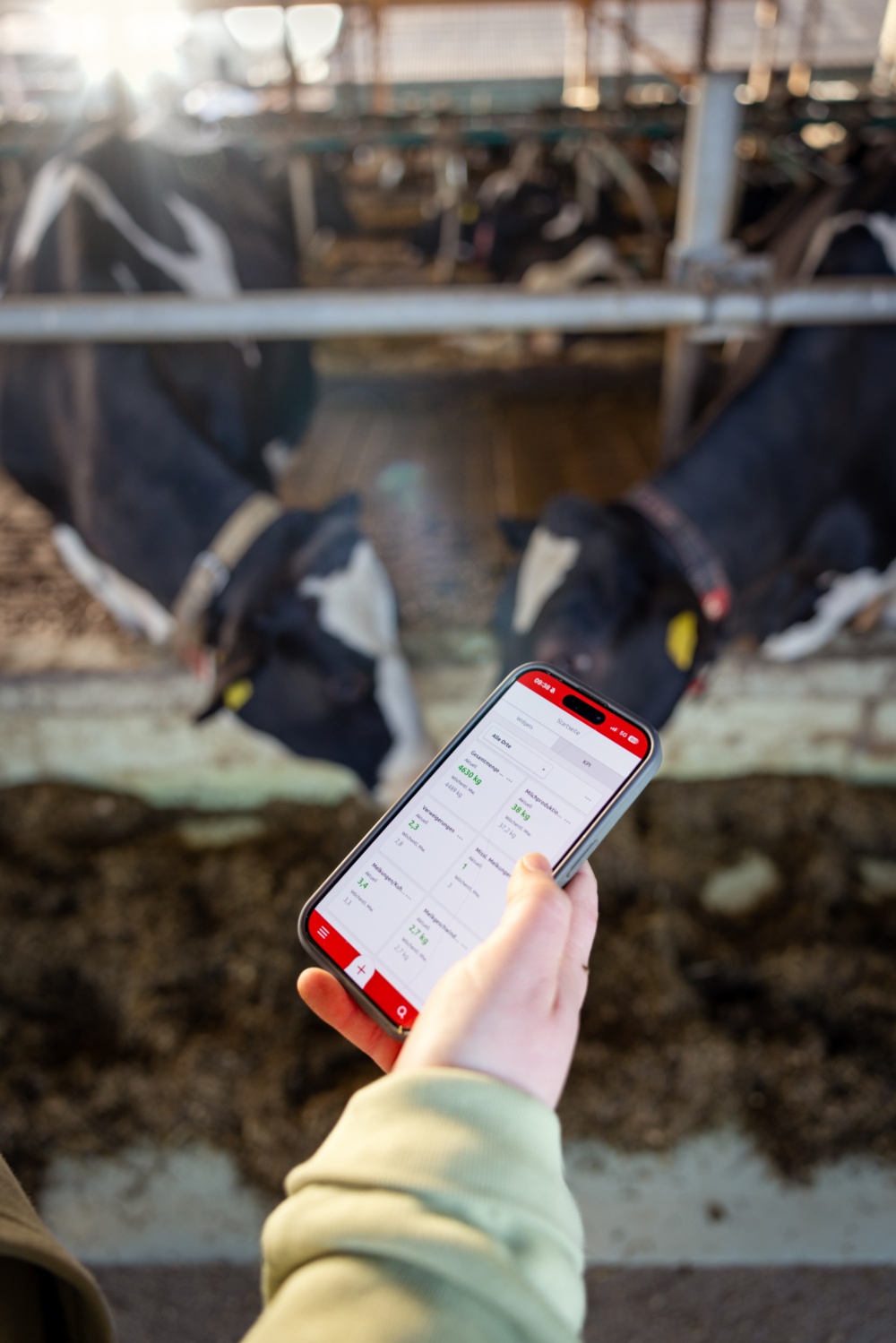 Die Landwirtin trackt über die Handyapp den Melkroboter in ihrem Stall.