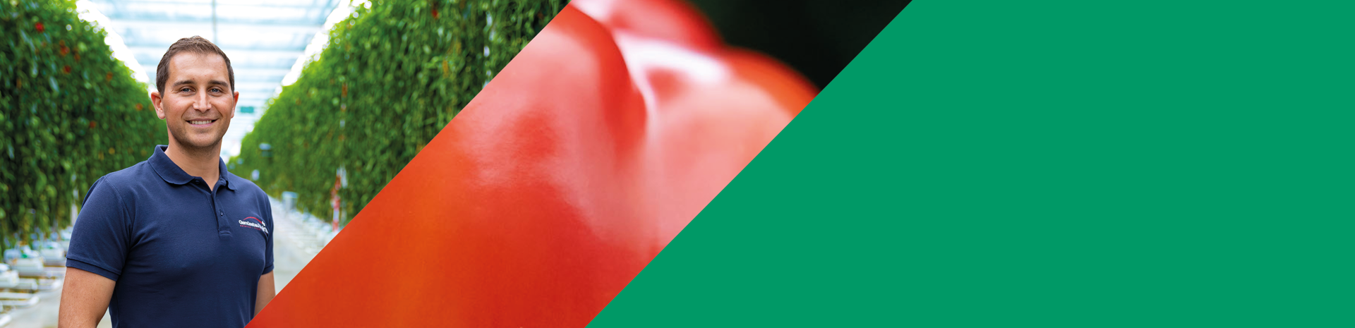 Förderstory: Gemüsebau Steiner